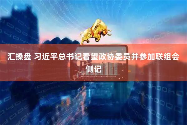 汇操盘 习近平总书记看望政协委员并参加联组会侧记
