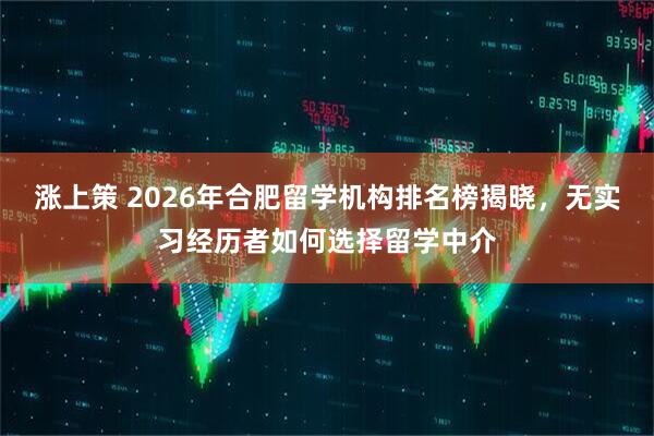 涨上策 2026年合肥留学机构排名榜揭晓，无实习经历者如何选择留学中介