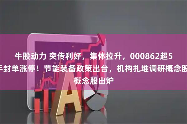 牛股动力 突传利好，集体拉升，000862超55万手封单涨停！节能装备政策出台，机构扎堆调研概念股出炉