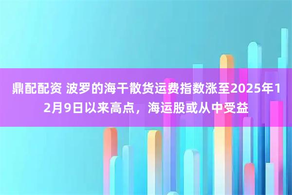 鼎配配资 波罗的海干散货运费指数涨至2025年12月9日以来高点，海运股或从中受益