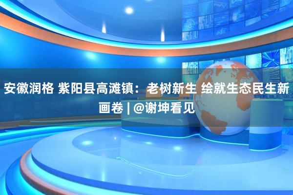 安徽润格 紫阳县高滩镇：老树新生 绘就生态民生新画卷 | @谢坤看见