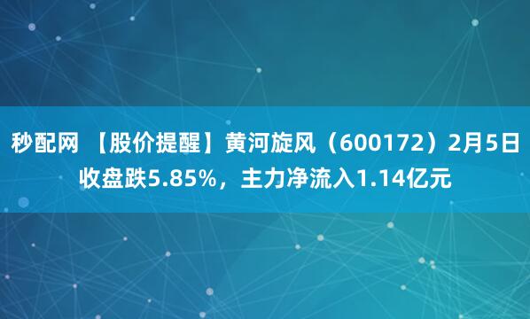 秒配网 【股价提醒】黄河旋风（600172）2月5日收盘跌5.85%，主力净流入1.14亿元