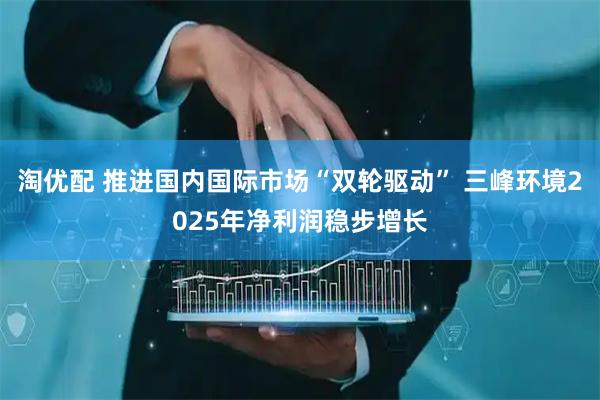 淘优配 推进国内国际市场“双轮驱动” 三峰环境2025年净利润稳步增长